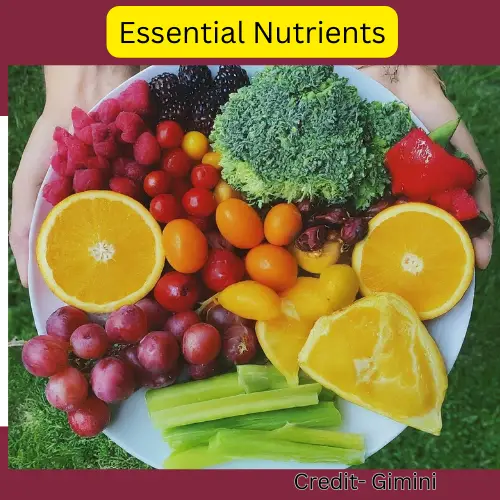 Essential Nutrients